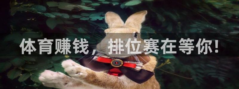 凯发官网下载招商：体育赚钱，排位赛在等你!