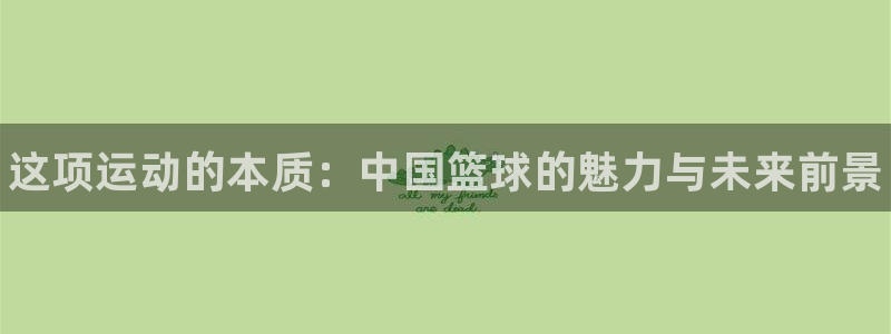 海南凯发官网下载发展怎么样：这项运动的本质：中国篮球的魅力与