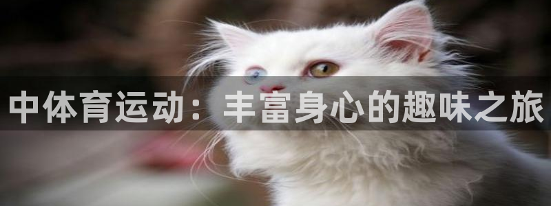 凯发官网下载招商电话地址查询：中体育运动：丰富身心的趣味之旅