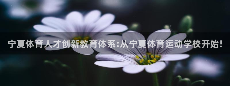 凯发官网下载平台是正规平台吗知乎：宁夏体育人才创新教育体系: