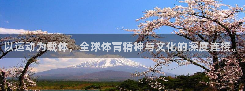 凯发官方平台体育：以运动为载体，全球体育精神与文化的深度连接