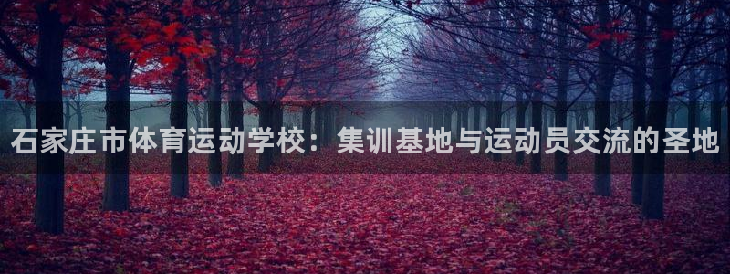 凯发官方正版app科技