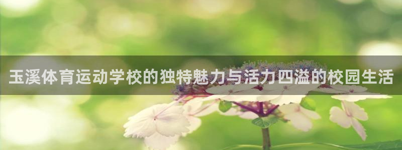 凯发官方正版app集团logo：玉溪体育运动学校的独