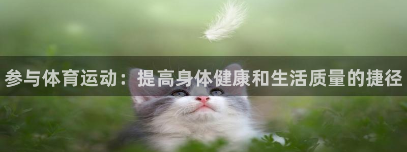 凯发官方正版app集团简介：参与体育运动：提高身体健