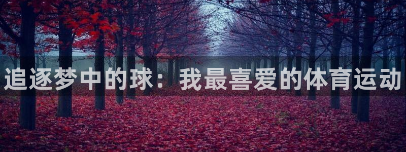凯发官方正版app娱乐首页官网下载：追逐梦中的球：我