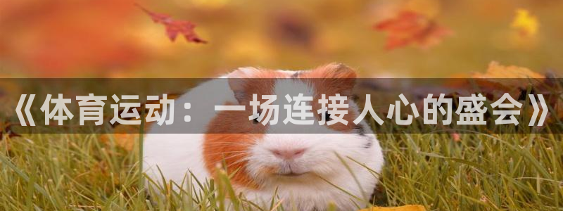 凯发官网下载官方客服电话：《体育运动：一场连接人心的