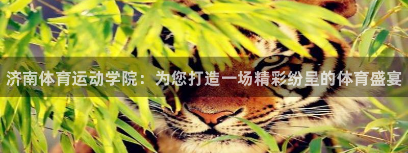 凯发官方正版app集团官网网址：济南体育运动学院：为您打造一