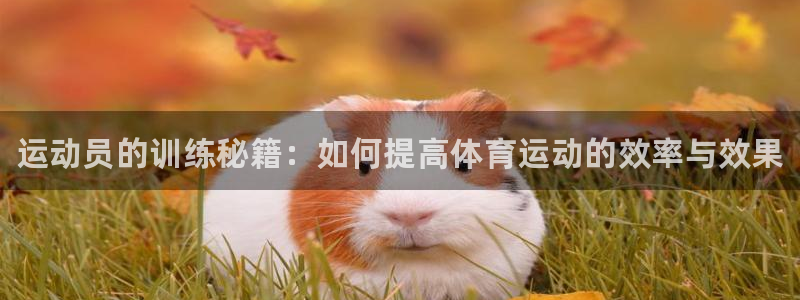 凯发官方正版app集团官网网址：运动员的训练秘籍：如何提高体