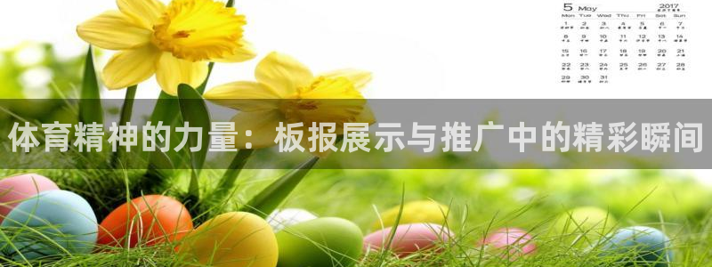 凯发官方正版app娱乐平台：体育精神的力量：板报展示