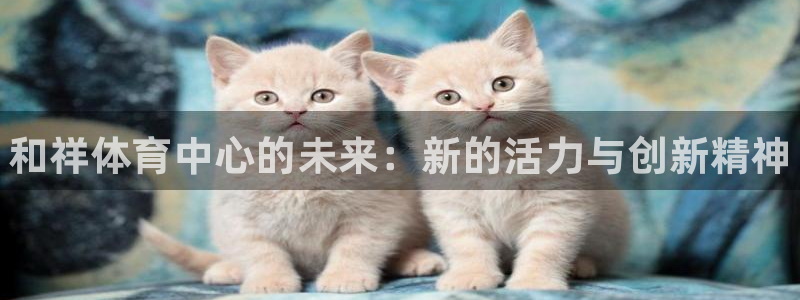 凯发官网下载软件：和祥体育中心的未来：新的活力与创新精神