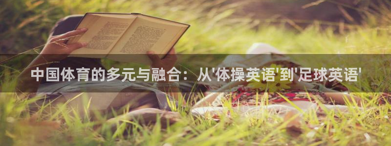 凯发官方正版app娱乐网站：中国体育的多元与融合：从