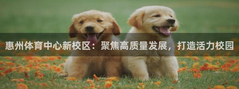 凯发官网下载软件：惠州体育中心新校区：聚焦高质量发展，打造活