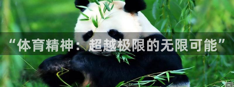凯发官方正版app神州：“体育精神：超越极限的无限可