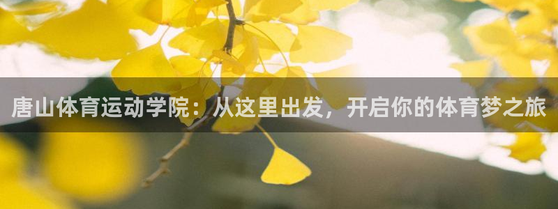 凯发官方正版app集团官网首页网址：唐山体育运动学院