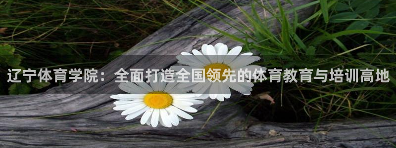 凯发官网下载招商电话号码查询是多少