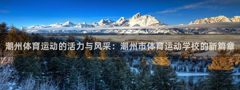 德国凯发官方正版app集团：潮州体育运动的活力与风采：潮州市