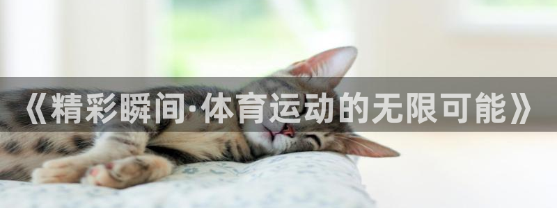 凯发官方正版app集团简介：《精彩瞬间·体育运动的无限可能》