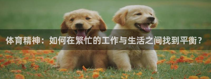凯发官方正版app集团官网首页：体育精神：如何在繁忙的工作与