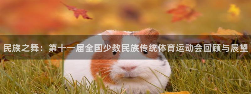 凯发官方正版app集团简介：民族之舞：第十一届全国少数民族传