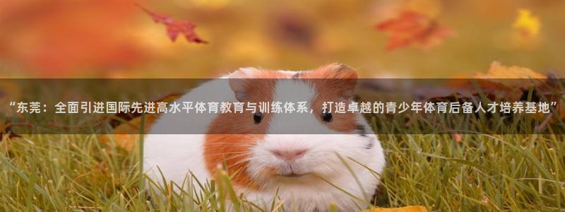 凯发官方正版app集团官网首页网址