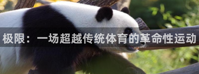 凯发官网下载招商电话号码：极限：一场超越传统体育的革