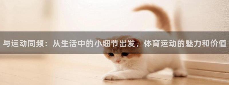 凯发平台怎么样