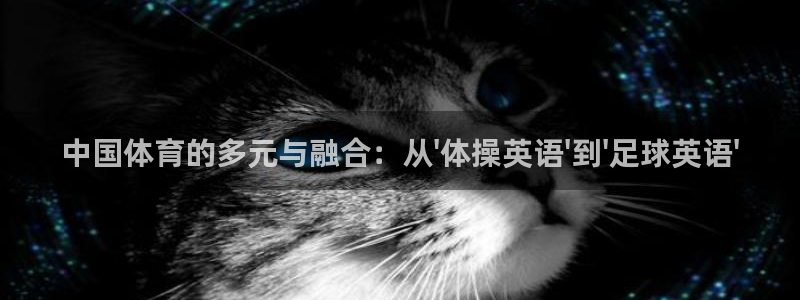 凯发k8旗舰厅ag发财网放心