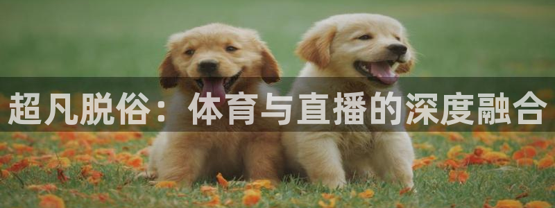 凯发旗舰平台
