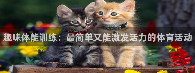 凯发k8ag旗舰厅真人版