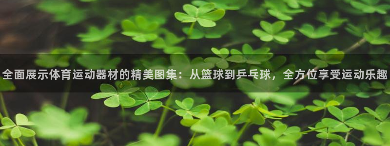 凯发软件在线下载：全面展示体育运动器