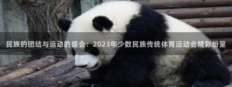  凯发足球：民族的团结与运动的盛会：2023年少数民族传统体育