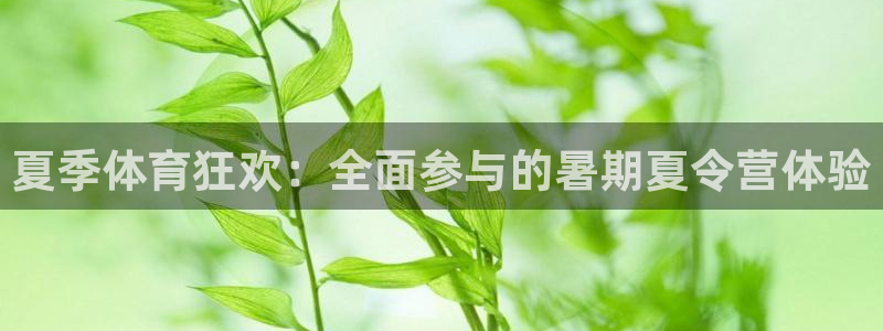 k8凯发官网首页