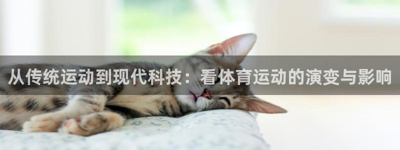  凯发k8天生赢家：从传统运动到现代科技：看体育运动的演变与影