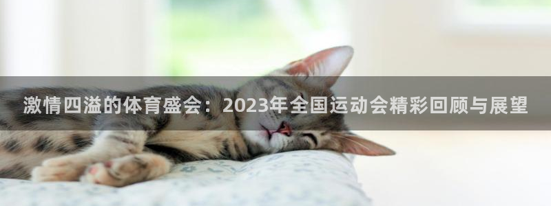 凯发足球：激情四溢的体育盛会：202