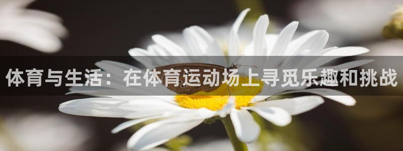  凯发官方网站下载：体育与生活：在体育运动场上寻觅乐趣和挑战