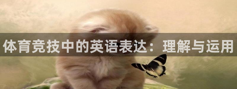  凯发娱网址是什么：体育竞技中的英语表达：理解与运用