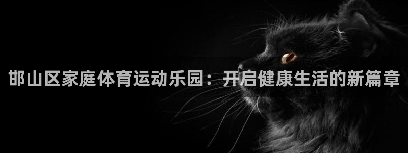  凯发k8app下载官网：邯山区家庭体育运动乐园：开启健康生活