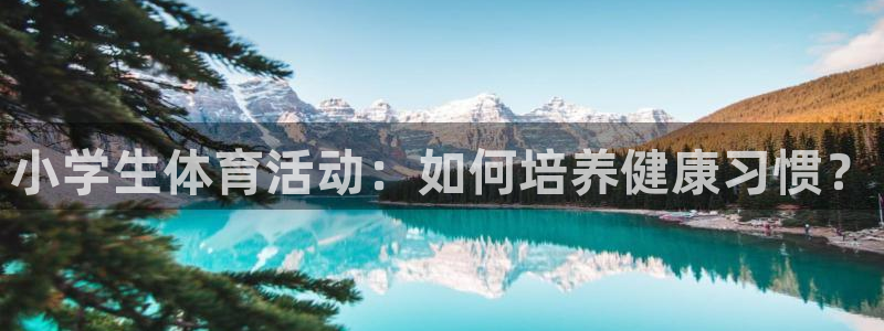 凯发k8官网首页：小学生体育活动：如