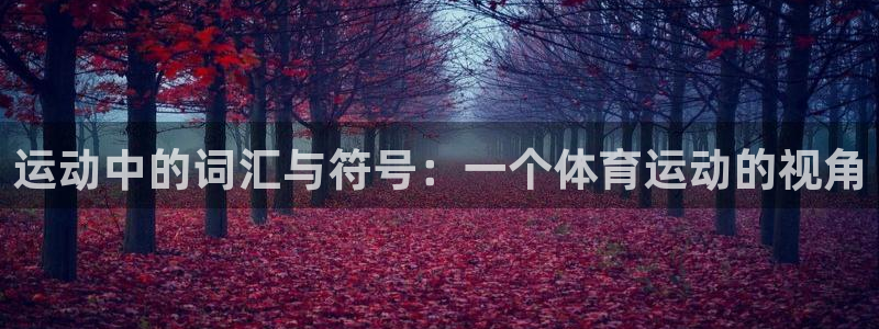 凯发官网下载平台注册：运动中的词汇与符号：一个体育运动的视角