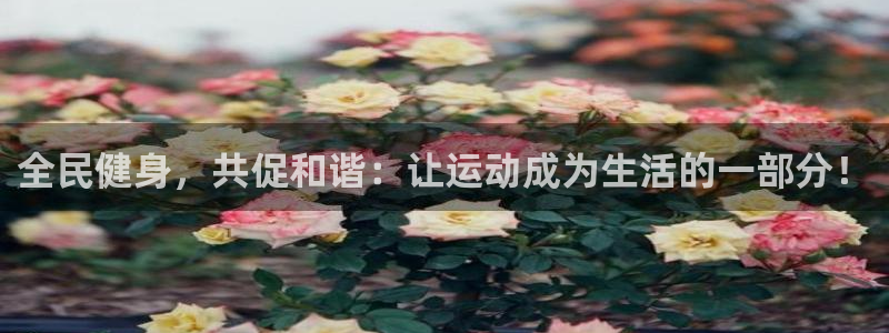 凯发官方正版app新能源：全民健身，共促和谐：让运动成为生活