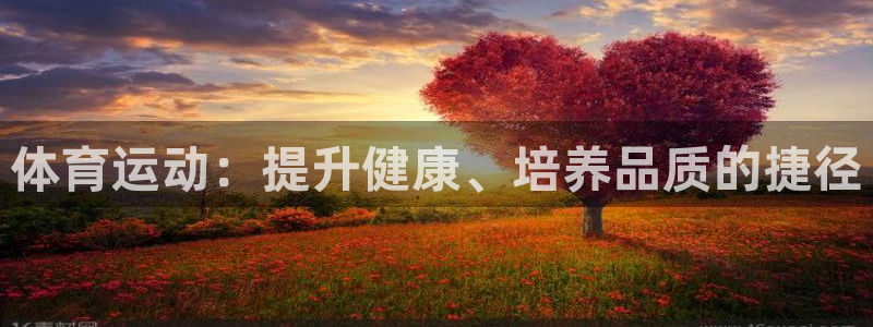 凯发官网下载平台注册流程视频：体育运动：提升健康、培养品质的